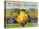 Bancroft, California, Mt. Diablo Fruit Farm Brand Pear Label-Lantern Press-Stretched Canvas