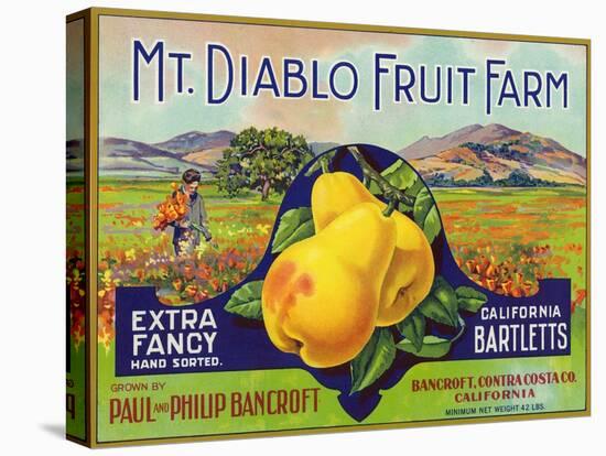 Bancroft, California, Mt. Diablo Fruit Farm Brand Pear Label-Lantern Press-Stretched Canvas