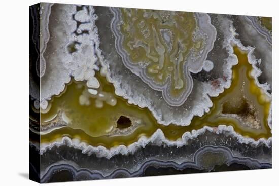 Banded Agate, Quartzsite, AZ-Darrell Gulin-Premier Image Canvas