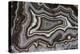 Banded Agate, Quartzsite, AZ-Darrell Gulin-Premier Image Canvas