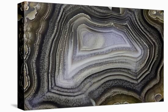 Banded Agate, Quartzsite, AZ-Darrell Gulin-Premier Image Canvas