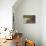 Banded Agate, Quartzsite, AZ-Darrell Gulin-Premier Image Canvas displayed on a wall