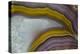 Banded Agate, Quartzsite, AZ-Darrell Gulin-Premier Image Canvas