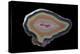 Banded Agate, Quartzsite, AZ-Darrell Gulin-Premier Image Canvas