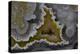 Banded Agate, Quartzsite, AZ-Darrell Gulin-Premier Image Canvas