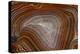 Banded Agate, Quartzsite, AZ-Darrell Gulin-Premier Image Canvas