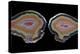 Banded Agate, Quartzsite, AZ-Darrell Gulin-Premier Image Canvas