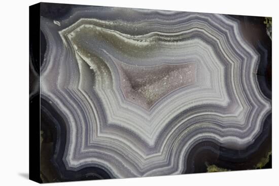 Banded Agate, Sammamish, Washington State-Darrell Gulin-Premier Image Canvas