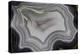 Banded Agate, Sammamish, Washington State-Darrell Gulin-Premier Image Canvas