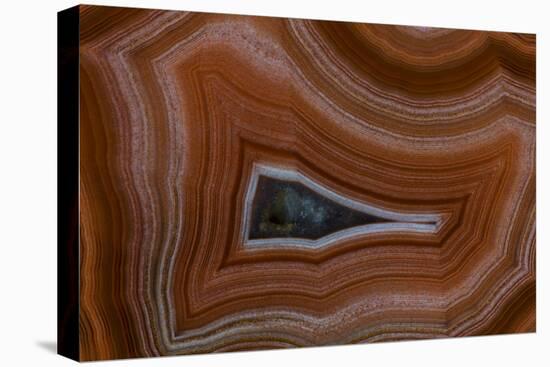 Banded Agate, Sammamish, Washington State-Darrell Gulin-Premier Image Canvas