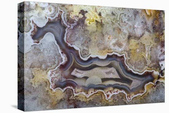 Banded Agate, Sammamish, Washington State-Darrell Gulin-Premier Image Canvas