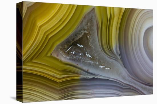 Banded Agate, Sammamish, Washington State-Darrell Gulin-Premier Image Canvas