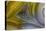 Banded Agate, Sammamish, Washington State-Darrell Gulin-Premier Image Canvas