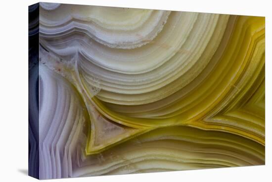 Banded Agate, Sammamish, Washington State-Darrell Gulin-Premier Image Canvas