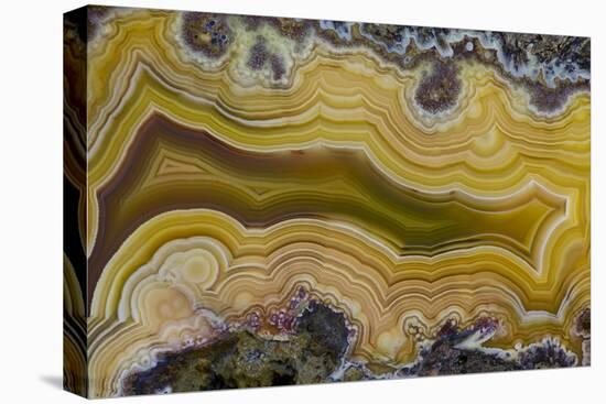 Banded Agate, Sammamish, Washington State-Darrell Gulin-Premier Image Canvas