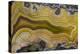 Banded Agate, Sammamish, Washington State-Darrell Gulin-Premier Image Canvas