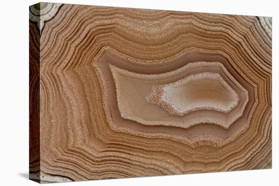 Banded Agate, Sammamish, Washington State-Darrell Gulin-Premier Image Canvas