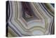 Banded Agate, Sammamish, Washington-Darrell Gulin-Premier Image Canvas