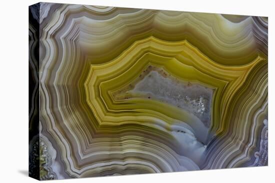 Banded Agate, Sammamish, Washington-Darrell Gulin-Premier Image Canvas