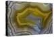 Banded Agate, Sammamish, Washington-Darrell Gulin-Premier Image Canvas