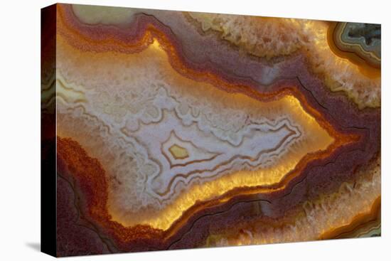 Banded Agate, Sammamish, Washington-Darrell Gulin-Premier Image Canvas