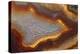 Banded Agate, Sammamish, Washington-Darrell Gulin-Premier Image Canvas