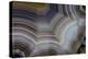 Banded Agate, Sammamish, Washington-Darrell Gulin-Premier Image Canvas