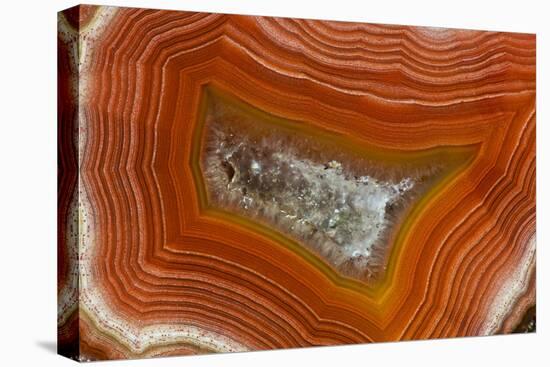 Banded Agate, Sammamish, Washington-Darrell Gulin-Premier Image Canvas