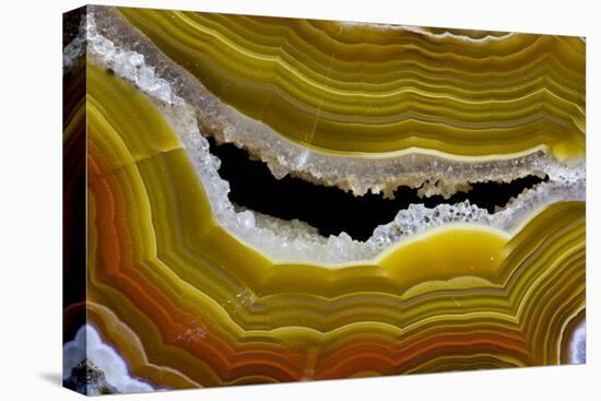 Banded Agate, Sammamish, Washington-Darrell Gulin-Premier Image Canvas