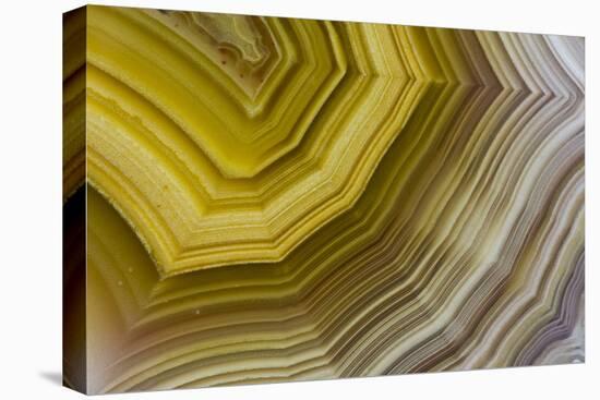 Banded Agate, Sammamish, Washington-Darrell Gulin-Premier Image Canvas