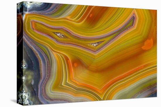 Banded Agate, Sammamish, Washington-Darrell Gulin-Premier Image Canvas