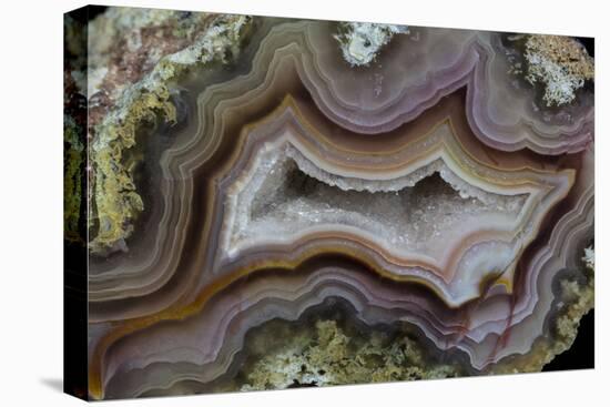 Banded Agate, Sammamish, Washington-Darrell Gulin-Premier Image Canvas