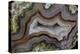 Banded Agate, Sammamish, Washington-Darrell Gulin-Premier Image Canvas