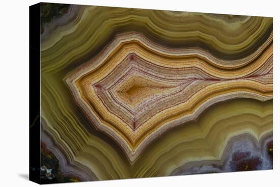 Banded Agate, Sammamish, Washington-Darrell Gulin-Premier Image Canvas