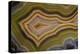 Banded Agate, Sammamish, Washington-Darrell Gulin-Premier Image Canvas