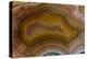 Banded Agate, Sammamish, Washington-Darrell Gulin-Premier Image Canvas