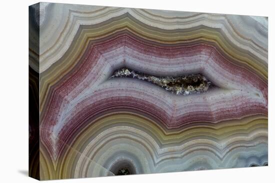 Banded Agate, Sammamish, Washington-Darrell Gulin-Premier Image Canvas