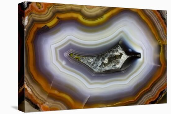 Banded Agate, Sammamish, Washington-Darrell Gulin-Premier Image Canvas