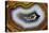 Banded Agate, Sammamish, Washington-Darrell Gulin-Premier Image Canvas