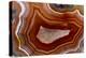 Banded Agate, Sammamish, Washington-Darrell Gulin-Premier Image Canvas