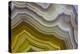 Banded Agate, Sammamish, Washington-Darrell Gulin-Premier Image Canvas