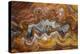 Banded Agate, Sammamish, Washington-Darrell Gulin-Premier Image Canvas