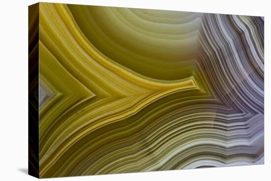 Banded Agate, Sammamish, Washington-Darrell Gulin-Premier Image Canvas