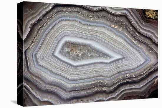 Banded Agate, Sammamish, Washington-Darrell Gulin-Premier Image Canvas