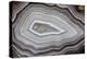 Banded Agate, Sammamish, Washington-Darrell Gulin-Premier Image Canvas