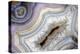 Banded Agate, Sammamish, Washington-Darrell Gulin-Premier Image Canvas