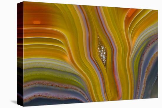 Banded Agate, Sammamish, Washington-Darrell Gulin-Premier Image Canvas