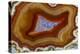 Banded Agate, Sammamish, Washington-Darrell Gulin-Premier Image Canvas