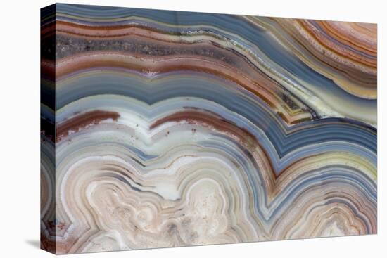 Banded Agate, Sammamish, Washington-Darrell Gulin-Premier Image Canvas