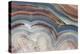 Banded Agate, Sammamish, Washington-Darrell Gulin-Premier Image Canvas